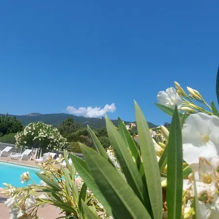 Porto Vecchio Mini Holiday home *